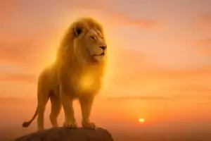 Leão espiritual dourado ao pôr do sol com aura suave, imagem de capa horizontal com espaço livre à direita